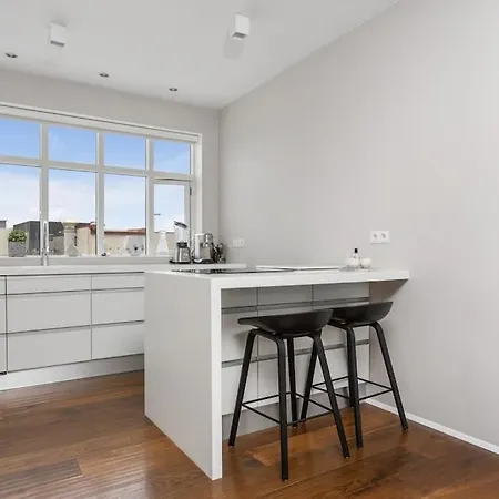 Apartment Stunning Rooftop In Downtown *